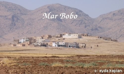 Marbobo